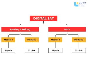 Cấu trúc bài thi SAT hoàn chỉnh
