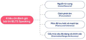 4 tiêu chí chấm điểm IELTS Speaking thí sinh cần biết khi đi thi