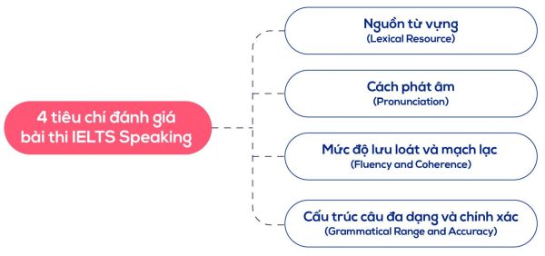 Tìm hiểu chi tiết 4 tiêu chí chấm điểm IELTS Speaking