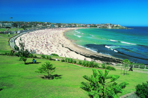 Giải mã bài đọc Bondi Beach IELTS Reading – 1 bãi biển nổi tiếng tại Australia