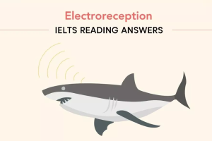 Giải mã bài đọc IELTS Reading “Electroreception”: Từ vựng và đáp án chi tiết