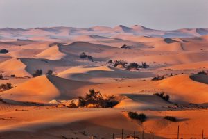Giải mã bài đọc IELTS “Sand Dunes”: Đáp án & phân tích chi tiết