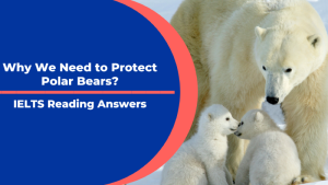 Why we need to protect polar bears IELTS Reading (cam 16 test 1 reading passage 1)