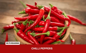 Đáp án & giải thích chi tiết bài đọc Chilli Peppers (IELTS Reading)