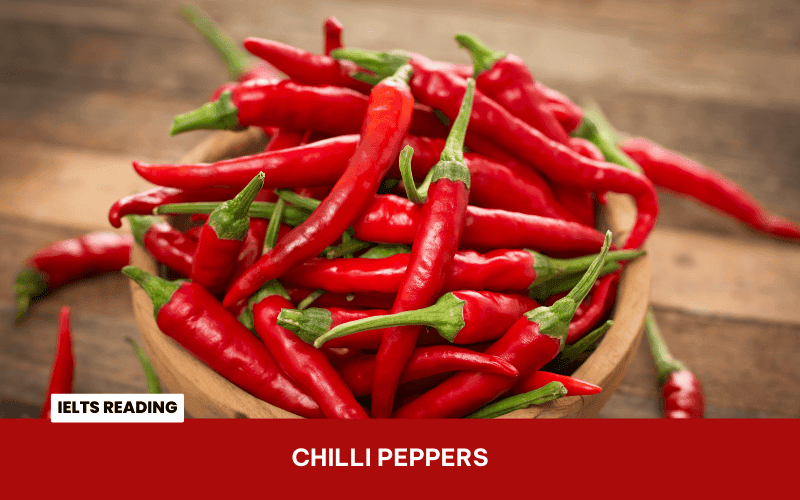 Chilli Peppers (IELTS Reading)