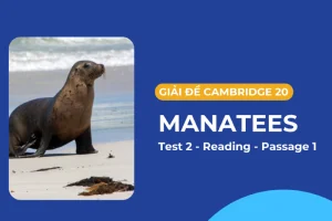 Giải bài đọc IELTS Reading Manatees (Cambridge 20 – Test 2, Reading Passage 1)