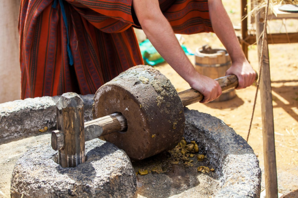 The Early History of Olive Oil IELTS Reading