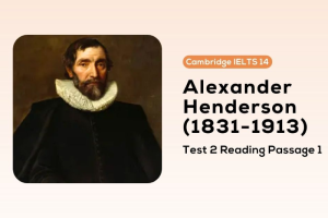 Giải mã toàn bộ bài đọc Alexander Henderson IELTS Reading (Kèm đáp án)