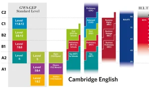 CAE (C1 Advanced) là gì? Nên thi CAE hay IELTS