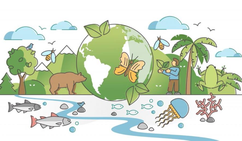 Giải đề IELTS Reading: Biodiversity