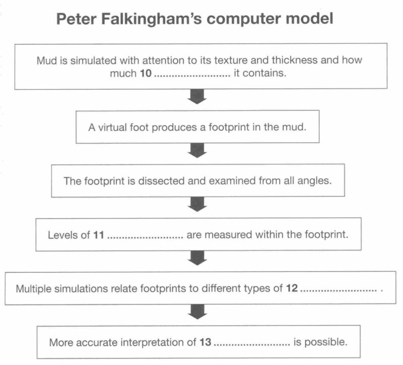 Peter Falkingham's computer model