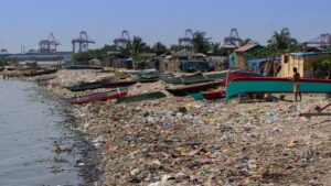 Giải mã bài đọc Pollution in the Bay IELTS Reading chi tiết từ a – z