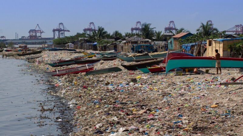 Pollution in the Bay IELTS Reading