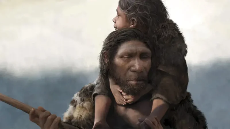 Neanderthals and Modern Humans IELTS Reading