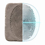 A History of Fingerprinting IELTS Reading: Dịch bài đọc & đáp án chuẩn