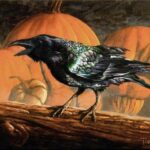 Giải mã bài đọc Crows can be craftsmen too IELTS Reading (dịch & đáp án)